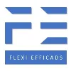 FLEXI EFFICADS PRIVATE LIMITED FLEXI EFFICADS PRIVATE LIMITED