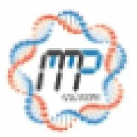 MMP-Solutions