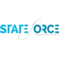 State Force LLC