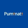 Puminati Digital Puminati Digital