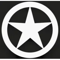 Lonestar Data Holdings Inc.