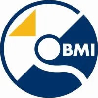 BMI Imaging Systems
