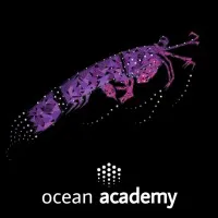 Ocean Academy