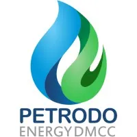PETRODO ENERGY 