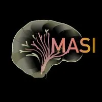 MASI Lab