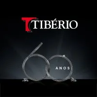 Tibério Construções e Incorporações S/A verified emails