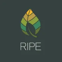 Realizing Increased Photosynthetic Efficiency (RIPE) Project