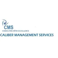 Caliber Management Services
