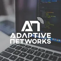Adaptive Networks