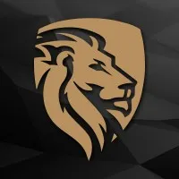 Lions 4 Security