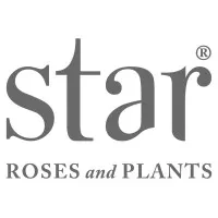 Star® Roses and Plants