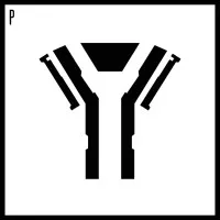 Paratope