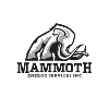 Mammoth Energy Services Mammoth Energy Services
