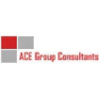 ACE Group Consultants LLC ACE Group Consultants LLC