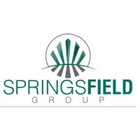 Springsfield Group Investment