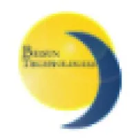 Brisun Technologies Inc.
