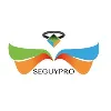 Seguypro Agente de Seguros, S.A de C.V. Seguypro Agente de Seguros, S.A de C.V.