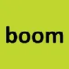 Boom Group Inc Boom Group Inc
