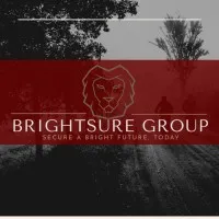 BRIGHTSURE GROUP 