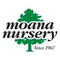 Moana Nursery