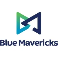 BLUEMAVERICKS.COM