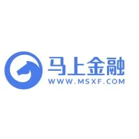 MSFinance