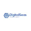 DigitalSeas Technologies DigitalSeas Technologies