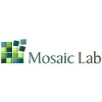 Mosaic Lab