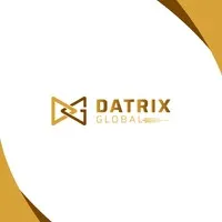 Datrix Global LLC Datrix Global LLC