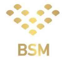 BSM Enterprise Ltd.