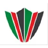 EMIRATES SECURITY SERVICES LLC EMIRATES SECURITY SERVICES LLC