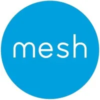 Mesh Architecture and Fabrication