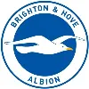 Brighton & Hove Albion Football Club Brighton & Hove Albion Football Club