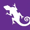 Chameleon Software Chameleon Software