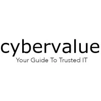 Cybervalue
