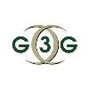 The Gemini 3 Group, Inc. The Gemini 3 Group, Inc.
