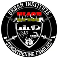 The Urban Institute for Strengthening Families The Urban Institute for Strengthening Families