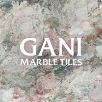 GANI 简一