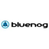 Bluenog Corp Bluenog Corp