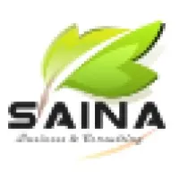 SAINA Engineering Consulting