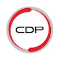 Certified Digital Professional (CDP) Indonesia