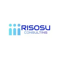 Risosu Consulting LLP