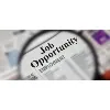 Job Alerts India Job Alerts India