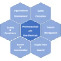 Techops Consulting
