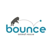 Bounce Animal Rescue