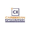 Caribbean Infocom India P. Limited Caribbean Infocom India P. Limited