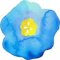 BlueFlax Design LLC