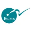 Halcyon Search International Halcyon Search International