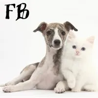 FurrBabies Pet Services LLC