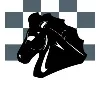 Paladin Advisor Group